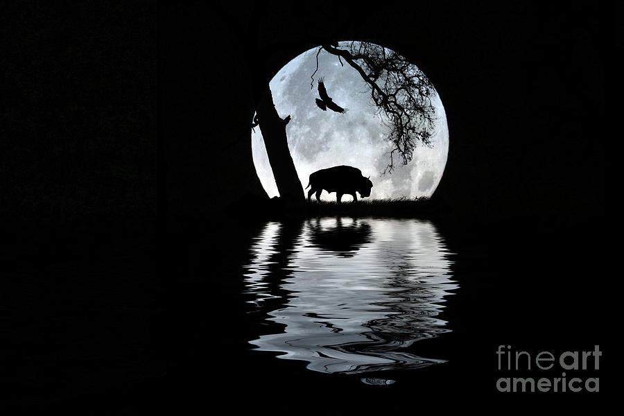 Native American Buffalo, Raven and Full Moon Reflected Photograph by Stephanie Laird