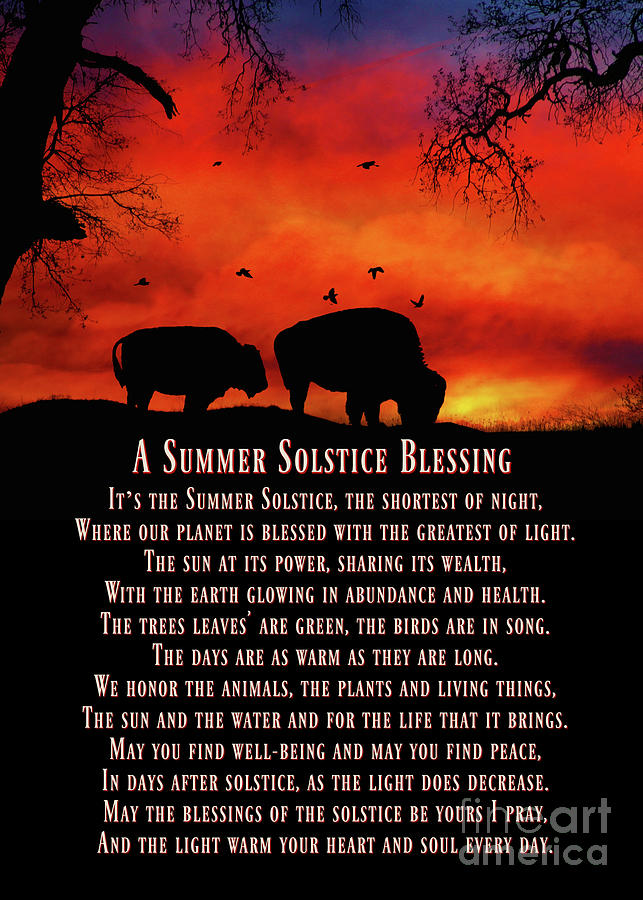 Native American Inspired Buffalo Summer Solstice Blessings Photograph by Stephanie Laird
