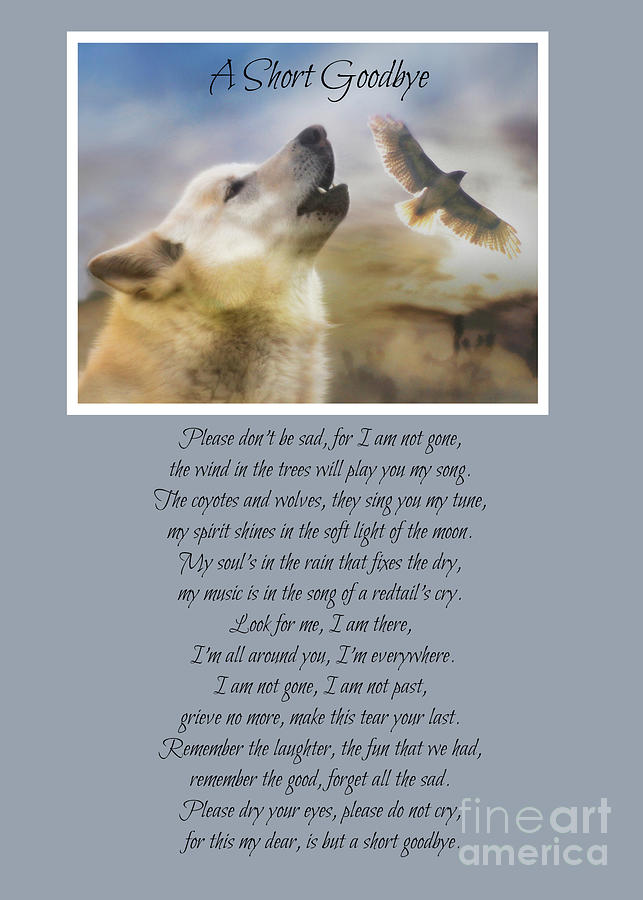 Native American Inspired Spiritual Poem with Wolf and Red Tail Hawk Photograph by Stephanie Laird