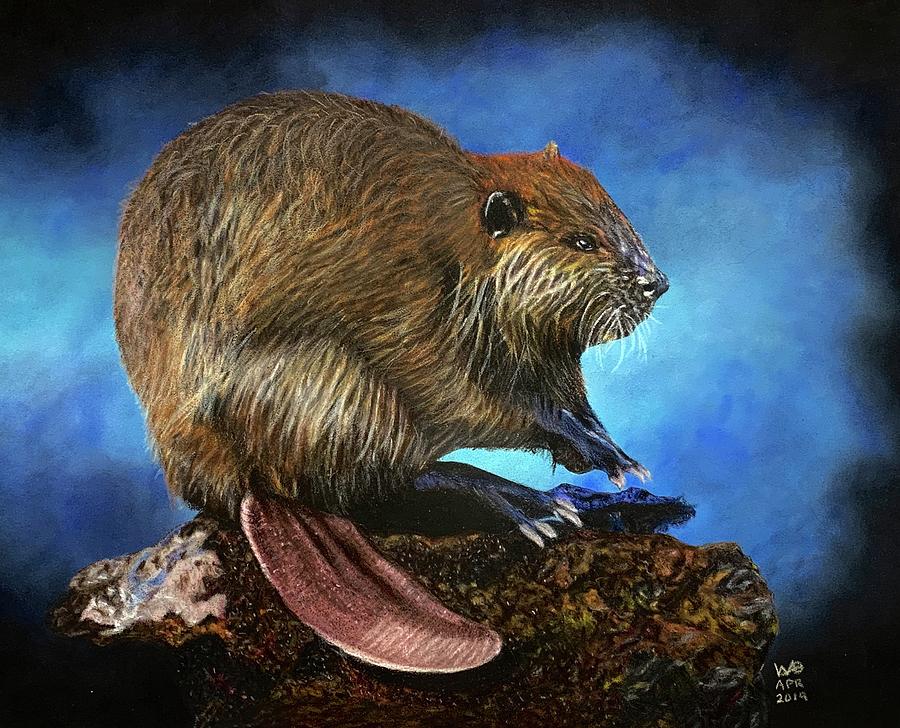 Native American Zodiac Beaver Mixed Media by Wendi OBrien | Fine Art ...