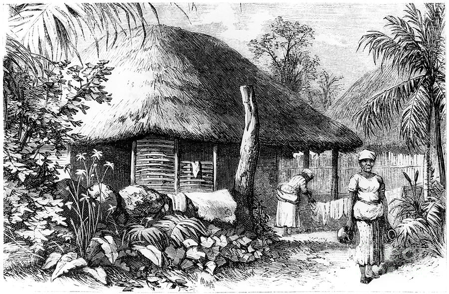 Native Habitation, Santo Domingo, 1873 Drawing by Print Collector