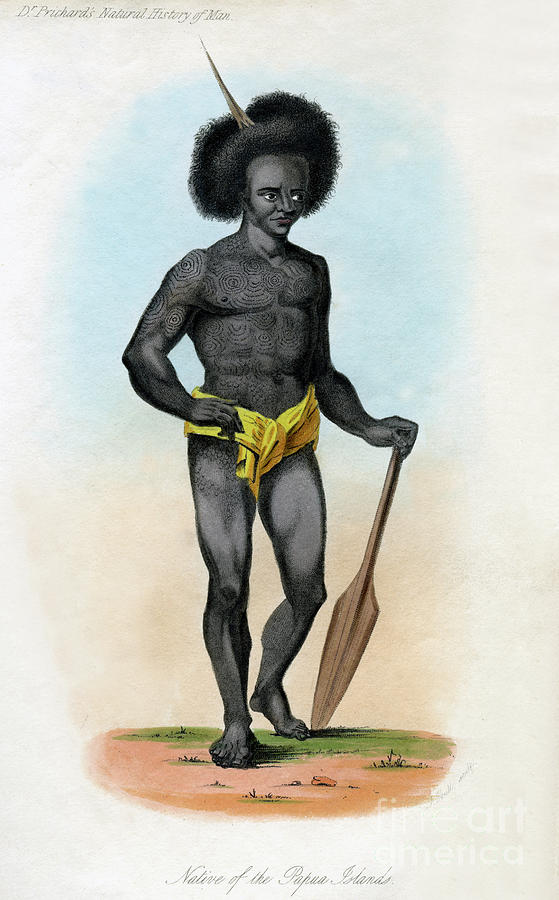 Native Of The Papua Islands Drawing by Print Collector