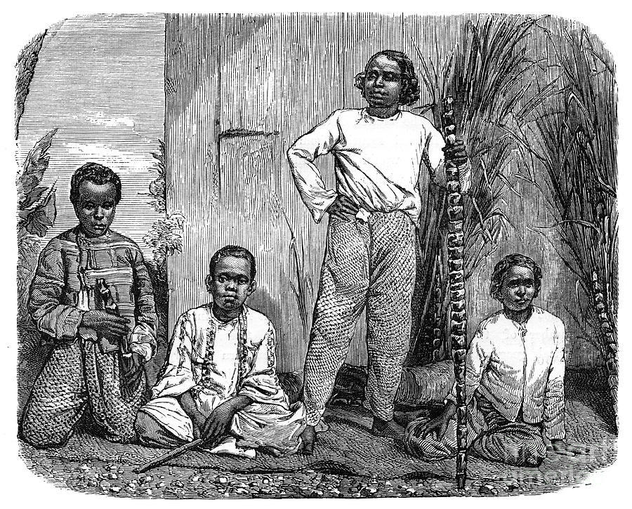 Natives Of The Island Of Reunion, C1890 Drawing by Print Collector Natives Of The Island Of Reunion, C1890 Drawing by Print Collector