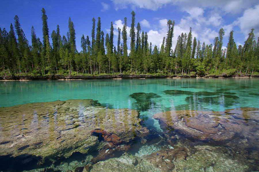 Natural Aquarium New-caledonia Photograph by Mako Photo Natural Aquarium New-caledonia Photograph by Mako Photo
