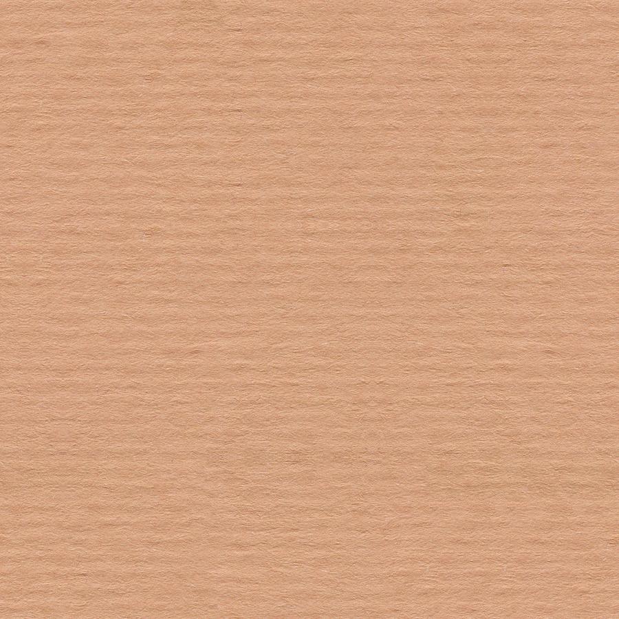 Abstract Photograph - Natural Beige Copy Space Background by Dmytro Synelnychenko