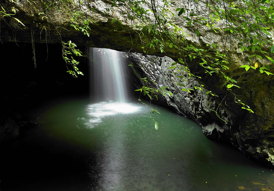 Natural Bridge - Springbrook National Photograph by Michael Pole - Fine ...