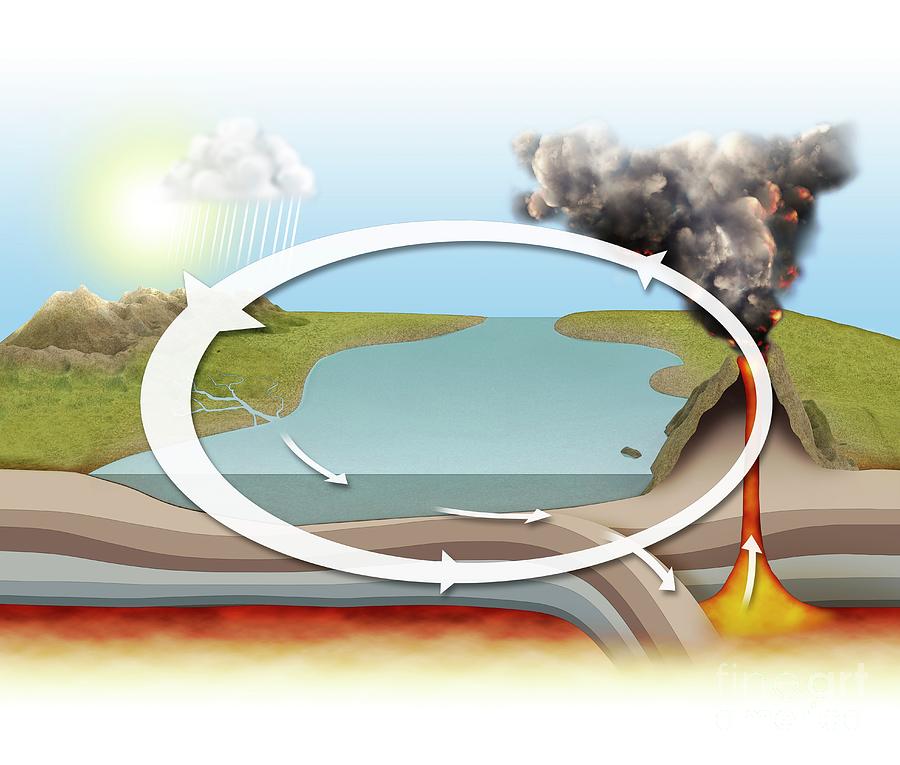 Natural Carbon Cycle Photograph by Mikkel Juul Jensen / Science Photo ...