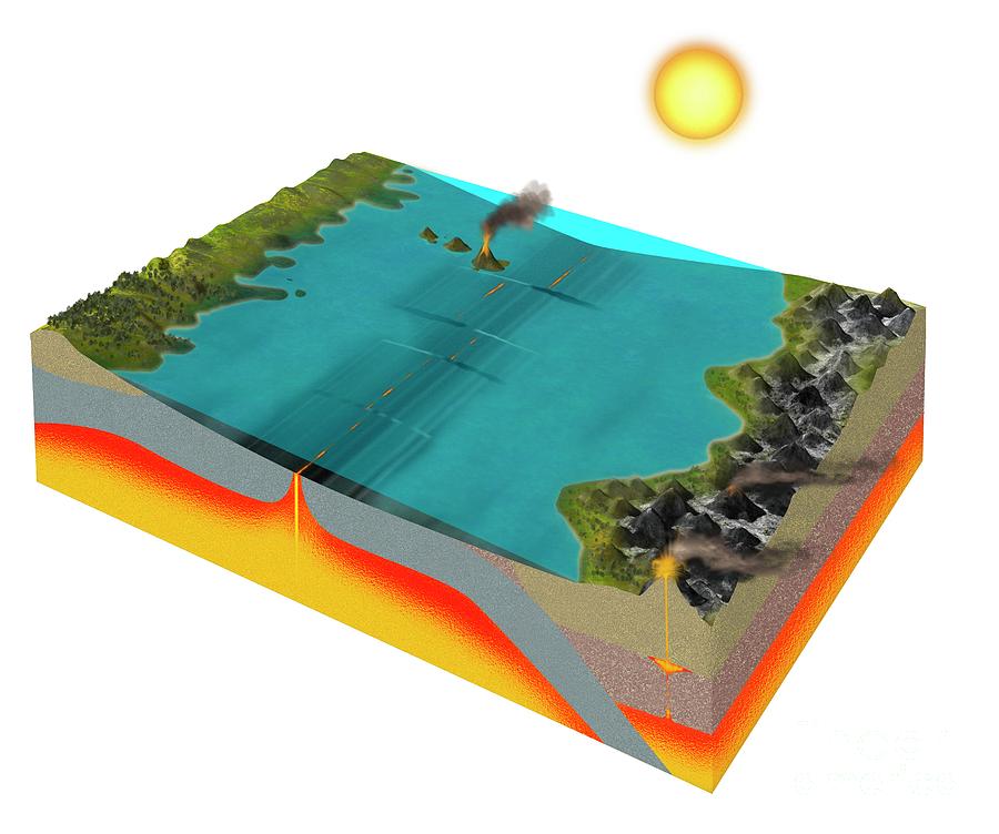 Natural Carbon Cycle Photograph by Tim Brown/science Photo Library ...