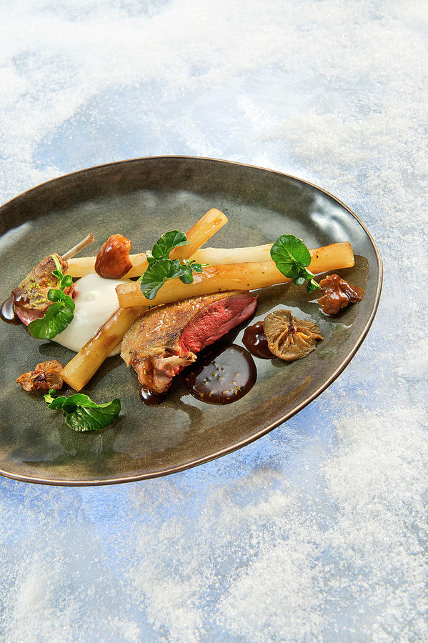 Natural Cuisine: Burdock Root With Fried Pigeon And Burdock Sauce Photograph by Lode Greven Photography