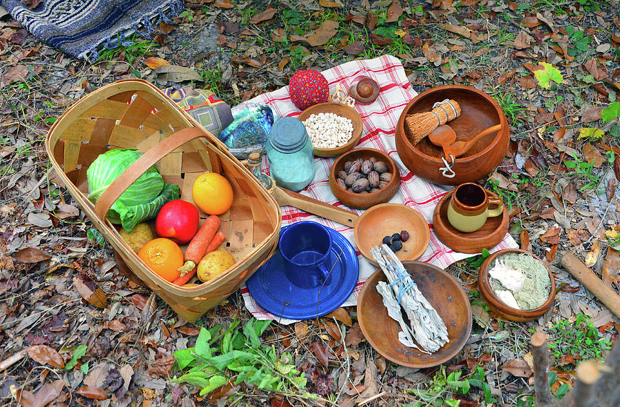 Natural foods of 1800s Florida Photograph by David Lee Thompson