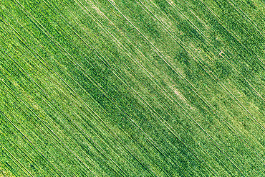 Abstract Photograph - Natural Green Field Background by Ryhor Bruyeu