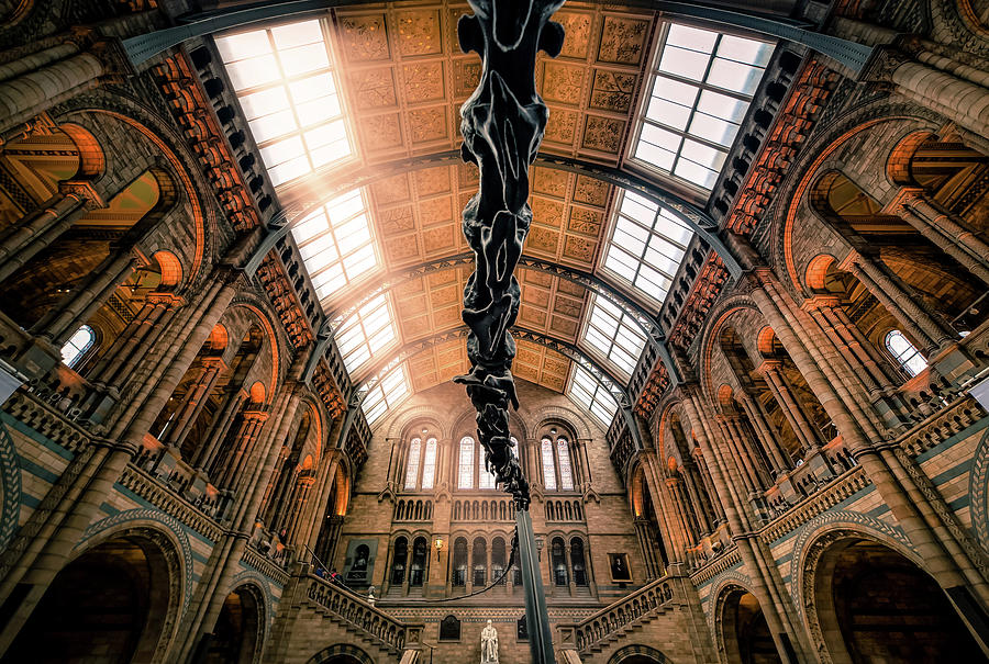 World Cultures Photograph - Natural History Museum II by Giuseppe Torre