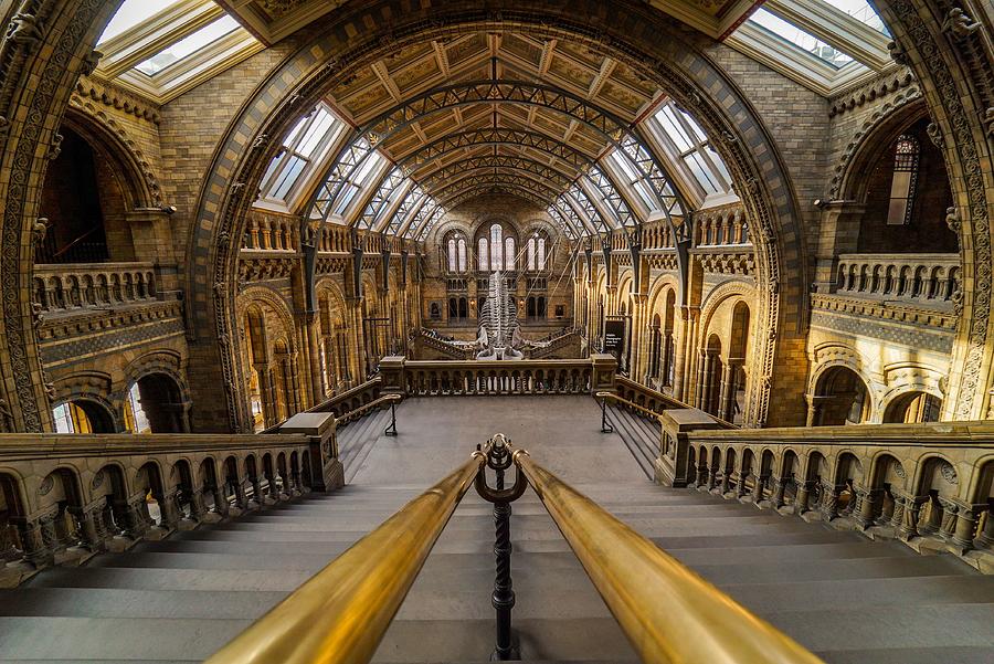 natural-history-museum-in-london-england-empty-just-before-closing