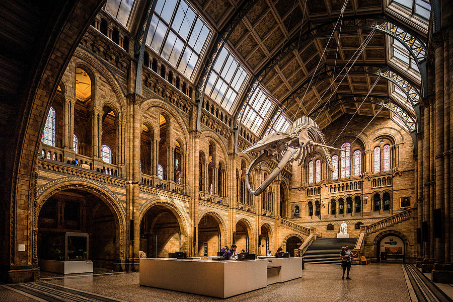 Natural History Museum, London Digital Art by Antonino Bartuccio