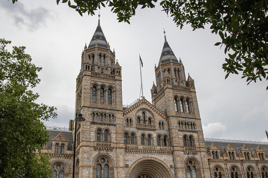 Natural History Museum London  Photograph by John McGraw