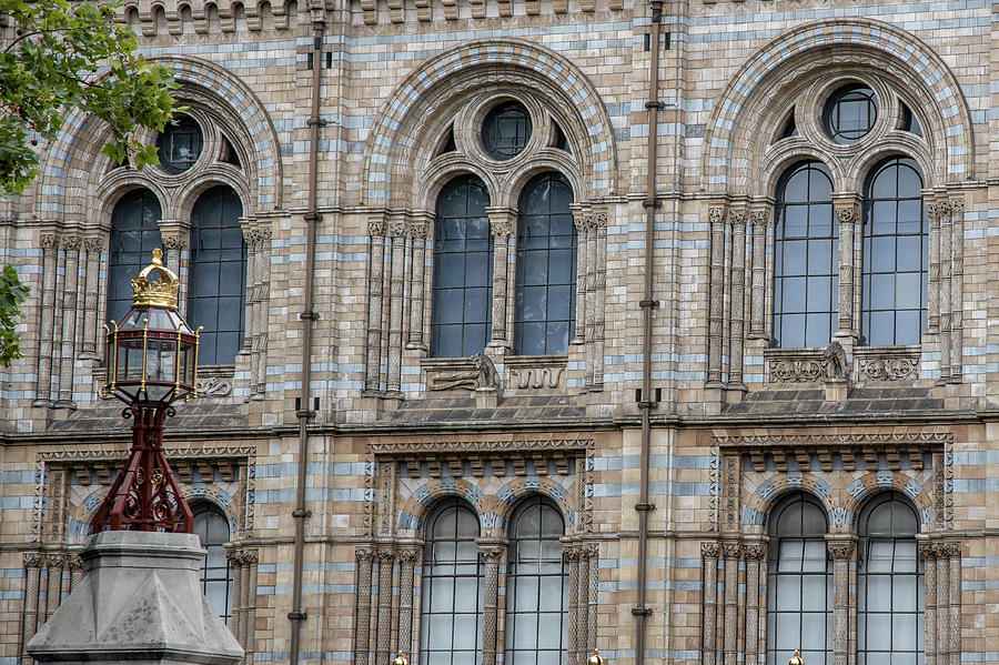 Natural History Museum London light post  Photograph by John McGraw