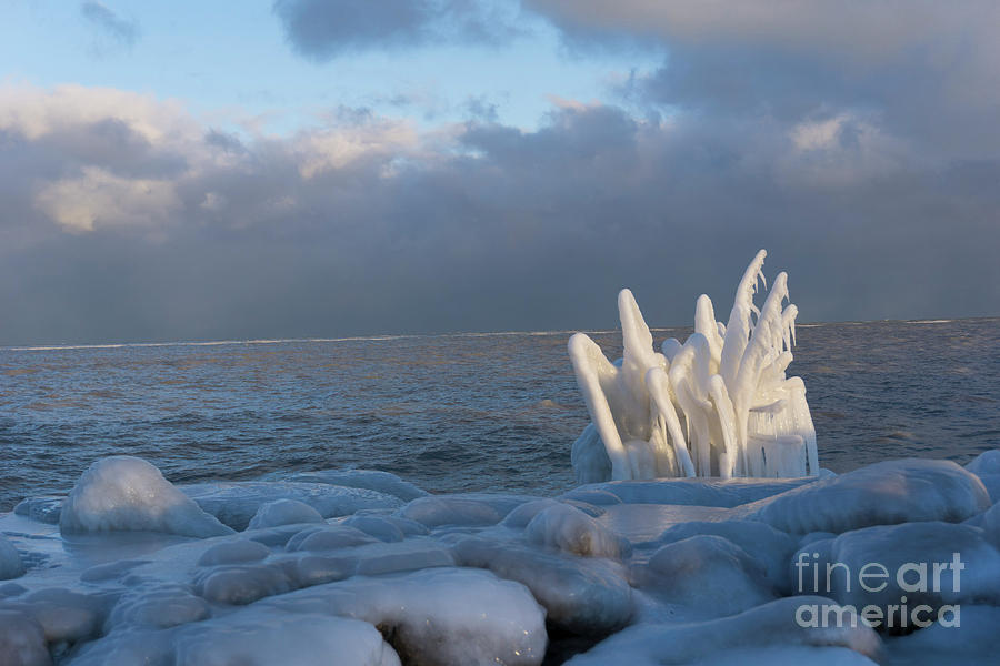 Natural Ice Sculpture by Randall Saltys Natural Ice Sculpture by Randall Saltys