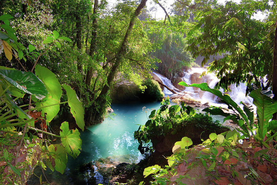 Natural Pool, Chiapas, Mexico Digital Art by Paolo Giocoso