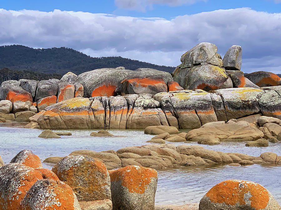 Natural Rock Painting - Bay of Fires - Tasmania - Australia Photograph by Tony Crehan