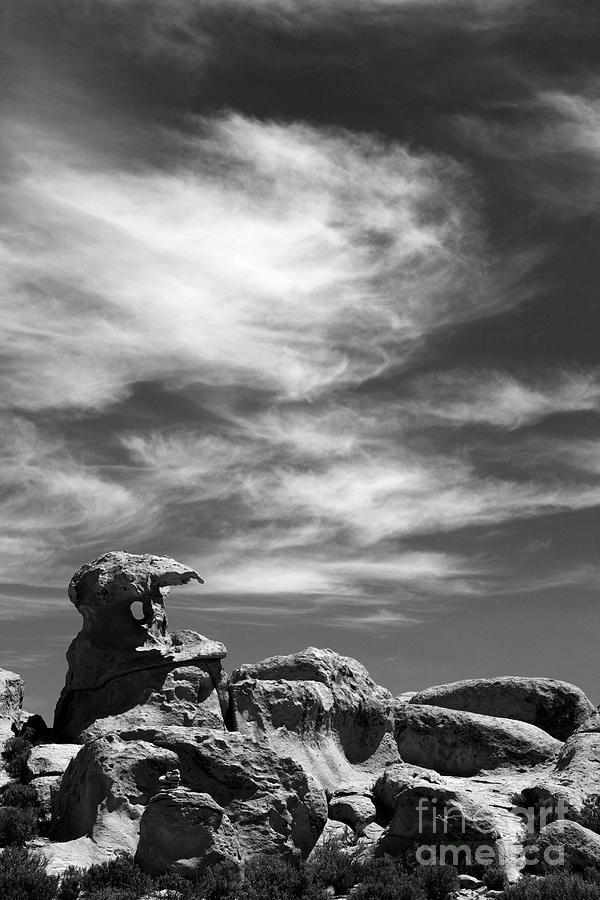 Natural Sculptures in Black and White Bolivia Photograph by James Brunker