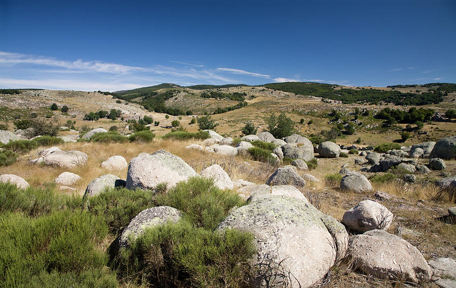 Natural Undulating Landscape In Cevennes Nationalpark, France Photograph by Konrad Wothe