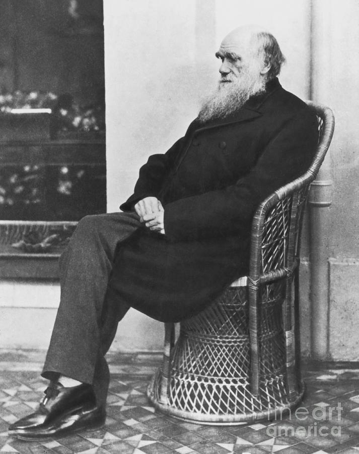 Naturalist Charles Darwin Seated Photograph by Bettmann