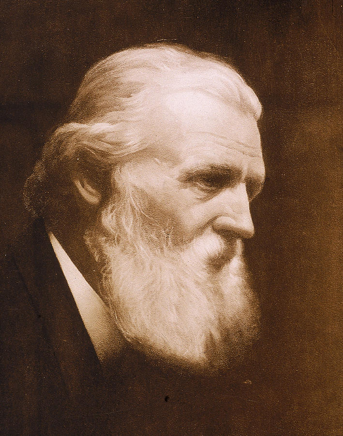 Naturalist John Muir Photograph by Hulton Archive