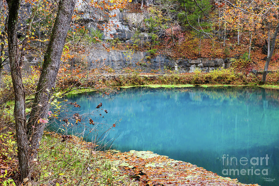 Fall Photograph - Naturally Blue by Jennifer White
