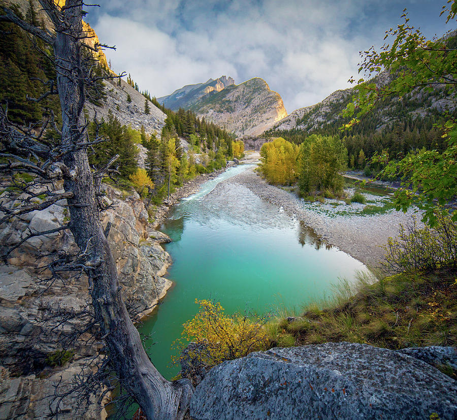 Naturally Framed / Augusta, Montana by Nicholas Parker Naturally Framed / Augusta, Montana by Nicholas Parker