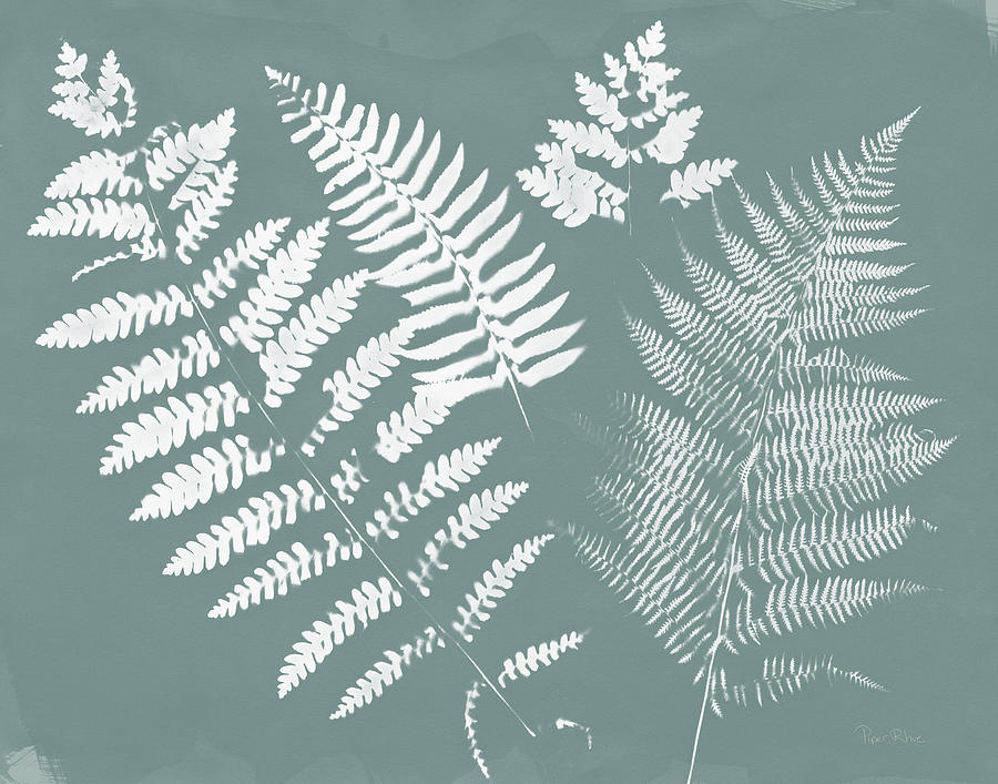 Ferns Mixed Media - Nature By The Lake Ferns II Gray Mist Crop by Piper Rhue