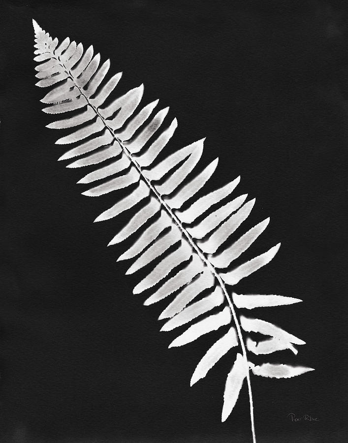 Black And White Painting - Nature By The Lake Ferns Iv Black Crop by Piper Rhue
