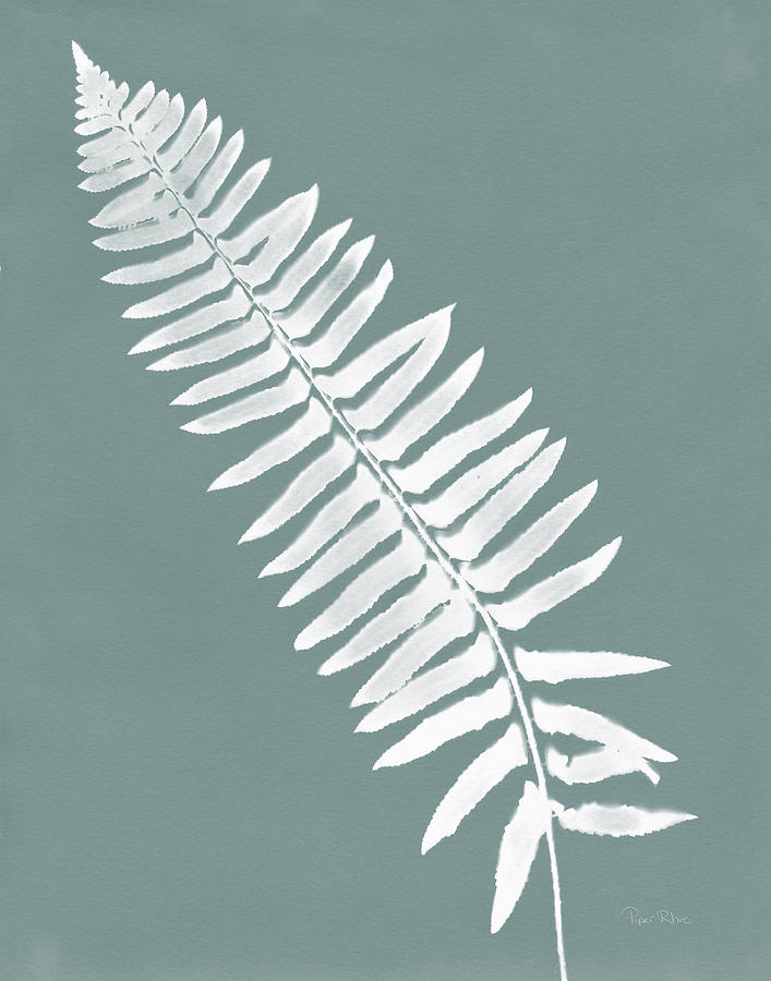 Ferns Mixed Media - Nature By The Lake Ferns Iv Gray Mist Crop by Piper Rhue