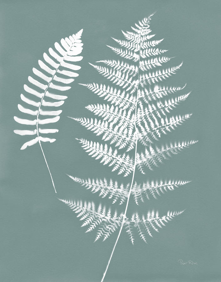 Ferns Mixed Media - Nature By The Lake Ferns V Gray Mist Crop by Piper Rhue