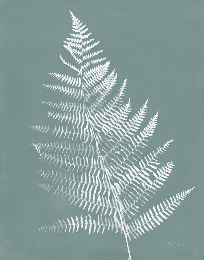 Ferns Mixed Media - Nature By The Lake Ferns Vi Gray Mist Crop by Piper Rhue