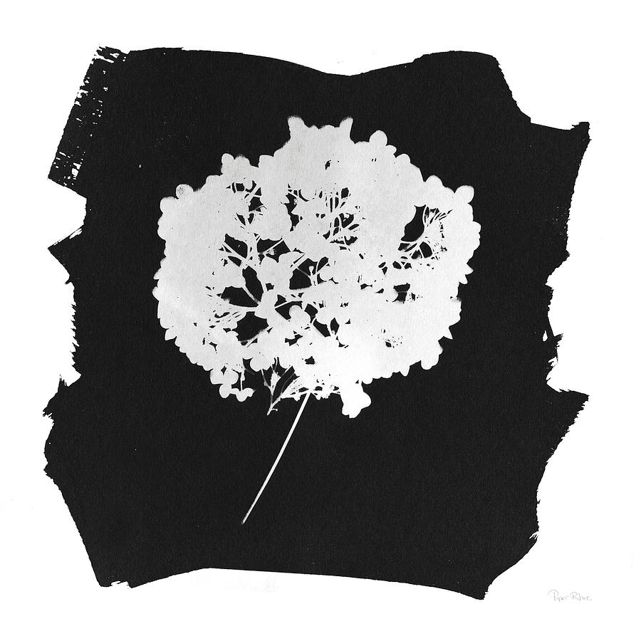 Black And White Painting - Nature By The Lake Flowers I Black by Piper Rhue