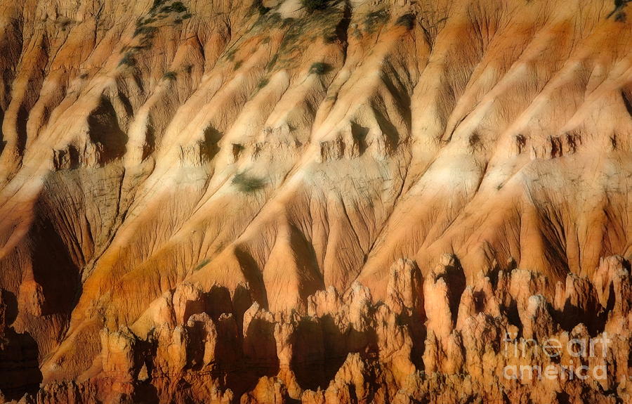 Nature For Your Eyes Bryce Canyon Photograph by Chuck Kuhn