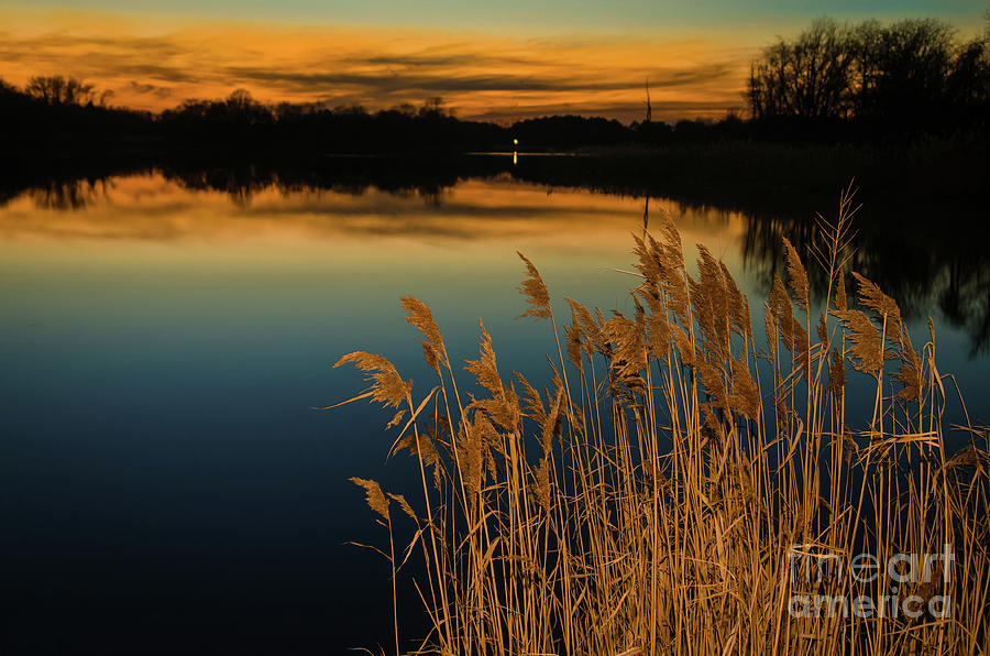 Sunset at Reedy Point Pond Rustic Landscape / Nature Photograph Photograph by PIPA Fine Art - Simply Solid