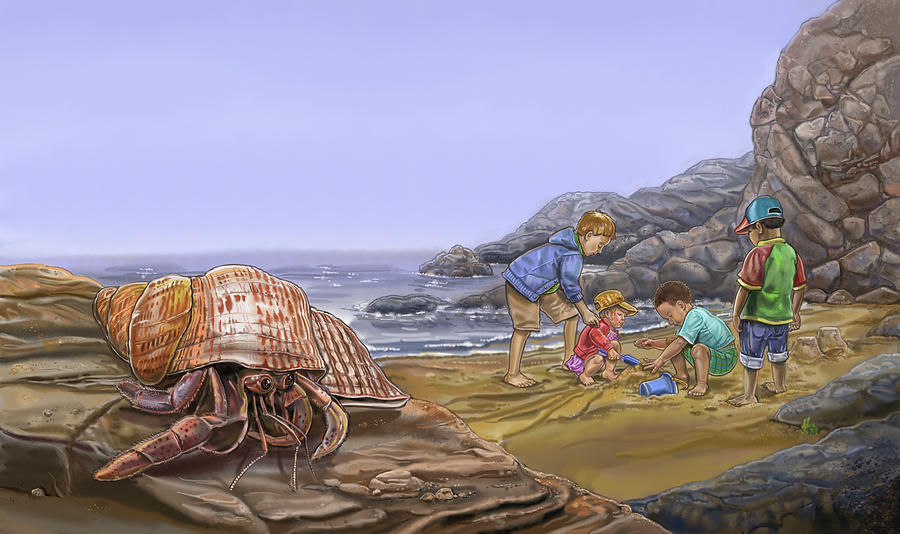Landscape Painting - Nature Recycles Hermit Crab by Cathy Morrison Illustrates