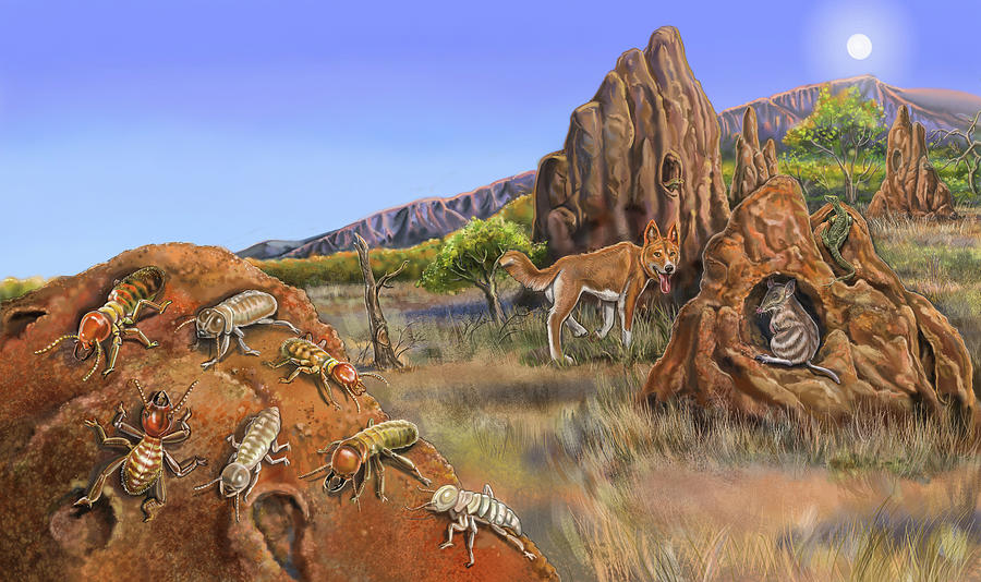 Animal Painting - Nature Recycles Spread 15 Termites by Cathy Morrison Illustrates