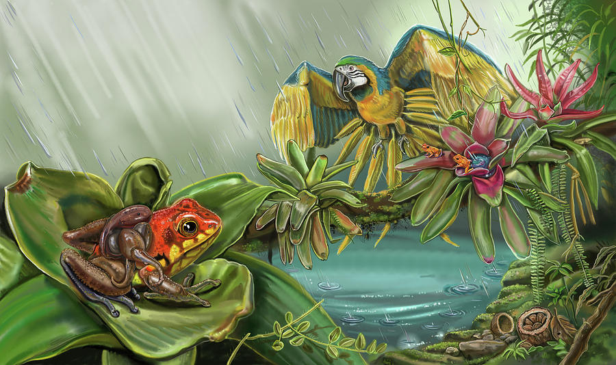 Animal Painting - Nature Recycles Spread 23 Poison Dart Frog by Cathy Morrison Illustrates