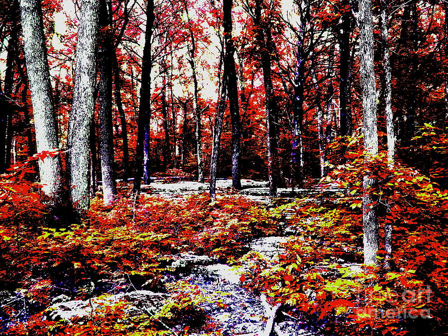Nature Scene, Stones River National Battlefield by Inscape Art Photography Nature Scene, Stones River National Battlefield by Inscape Art Photography