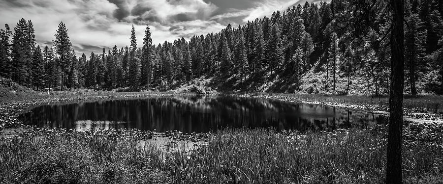 Nature Scenics Around Spokane River Washington Photograph by Alex Grichenko