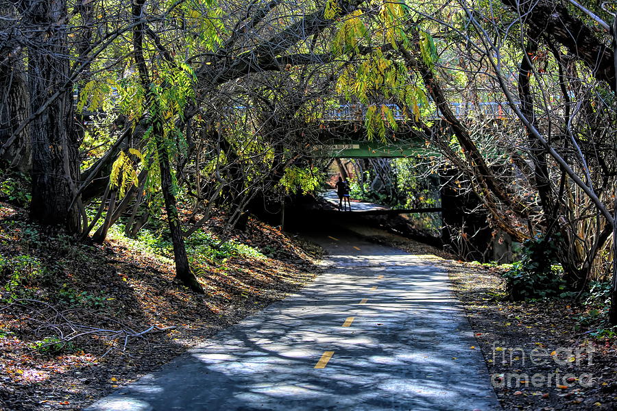 Nature Trees Branches Cover Path to Bridge  Photograph by Chuck Kuhn