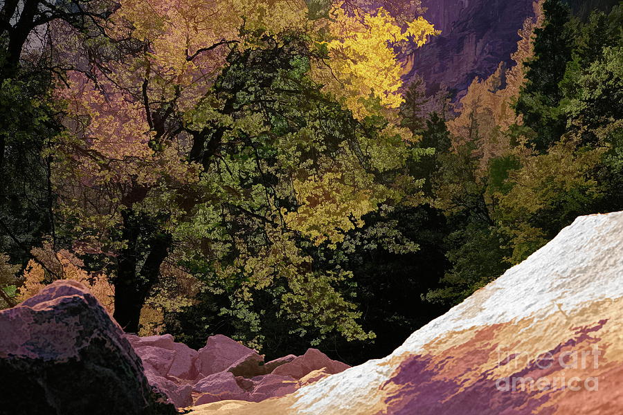 Nature Yosemite National Park  Digital Art by Chuck Kuhn