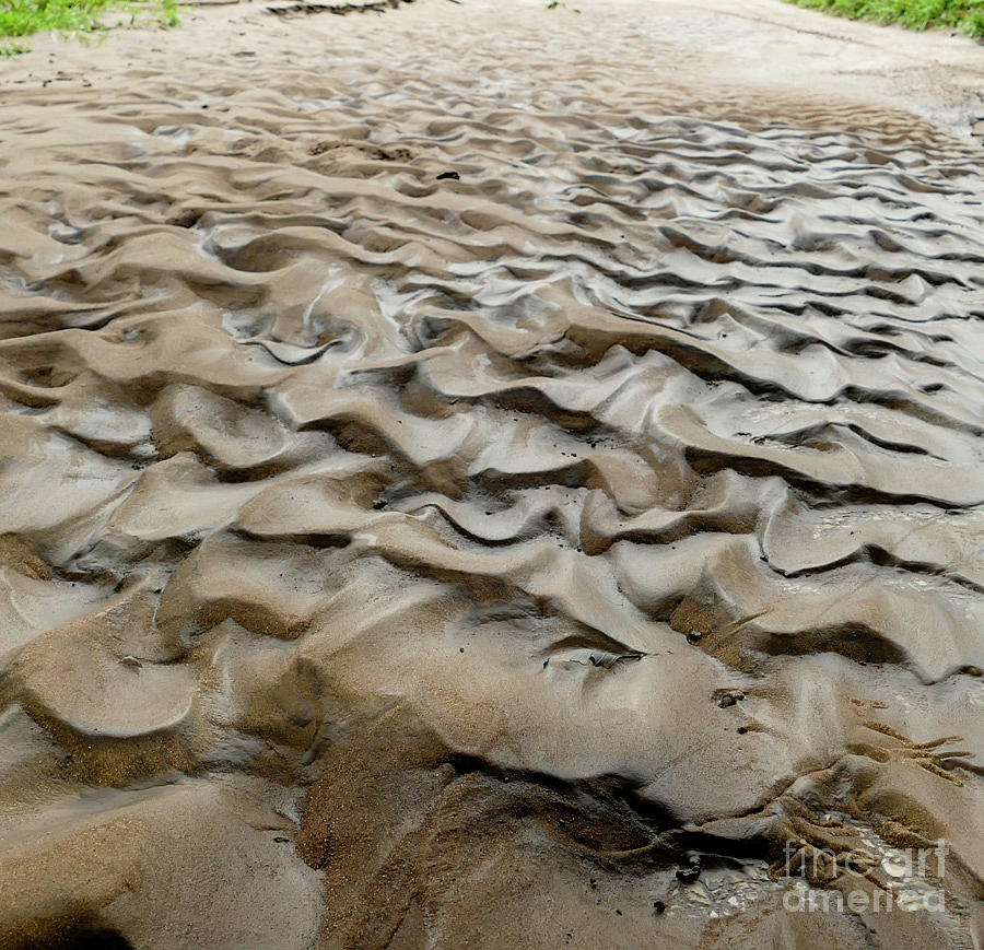 Natures Art in Mud Photograph by Sandra Js