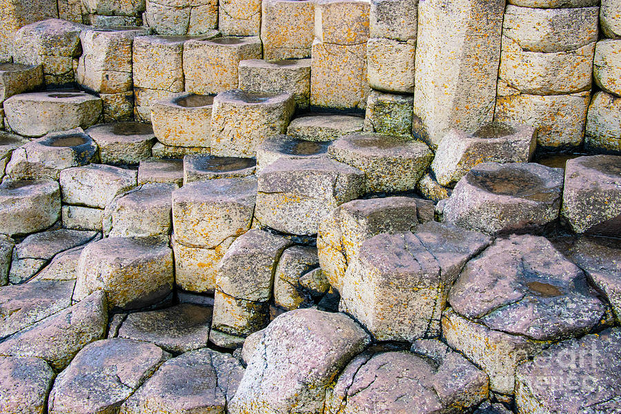 Natures Basalt Building Blocks One Photograph by Bob Phillips
