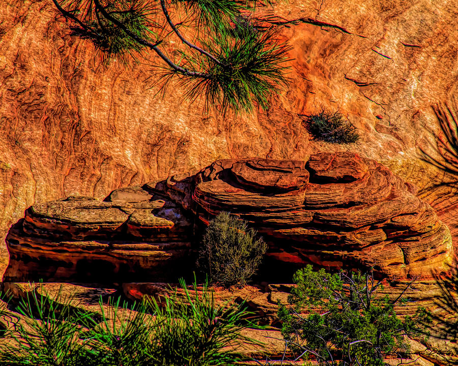 Nature S Bench Photograph By Deb Henman Fine Art America