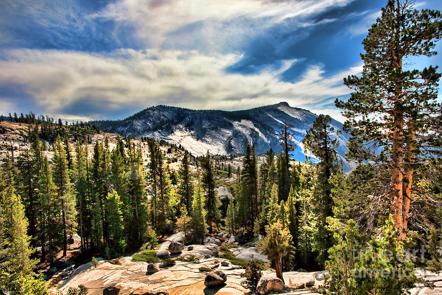 Natures Best Yosemite  Photograph by Chuck Kuhn