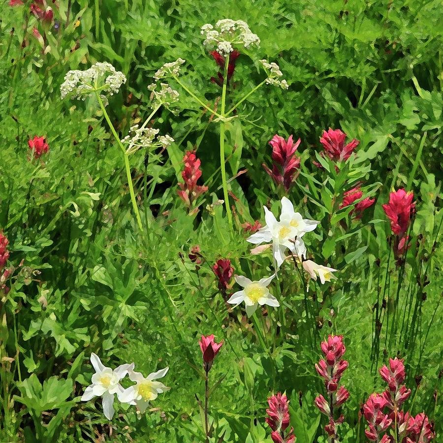 Nature's Bouquet Photograph by Linda Richardson