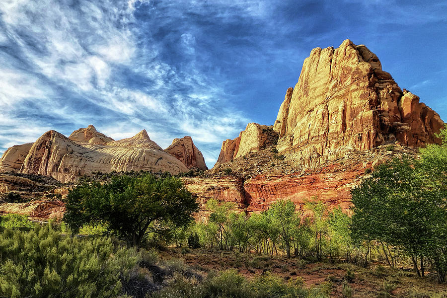 Nature's grandeur by Gaye Bentham Nature's grandeur by Gaye Bentham